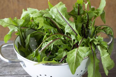 a close up photos of dandelion greens in a white metal colander