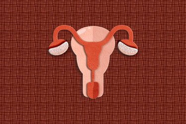 a uterus with ovaries and fallopian tubes on a brown background in cut paper to illustrate the concept of a hysterectomy