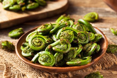 Raw Organic Green Fiddlehead Ferns