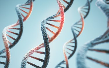 Concept of biochemistry with dna molecule with nucleic acids