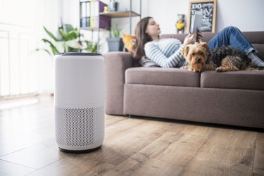 a young adult sitting on the couch with her dog with an air purifier in the foreground