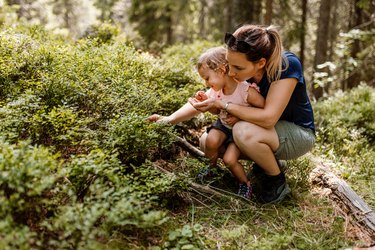 Parent and child crouched down in the woods picking blueberries and avoiding poison ivy