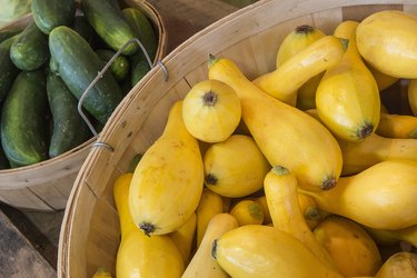 Summer squash in Bin