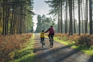 Rear view of a parent and child riding gravel bikes in the forest.