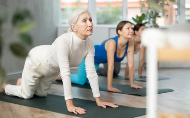 Diligent older adults practicing cow pose of yoga, an exercise for better proprioception, in light fitness room