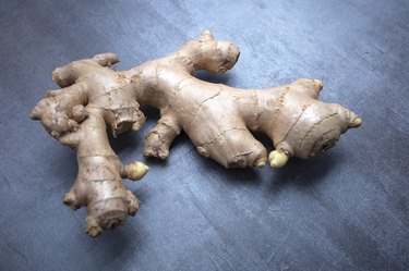 Fresh ginger (Zingiber officinale) known as Jahe in Indonesia. Raw material for traditional medicine herb, alternative health therapy. Containing Gingerol as anti-inflammatory and antioxidant. Seen from above.
