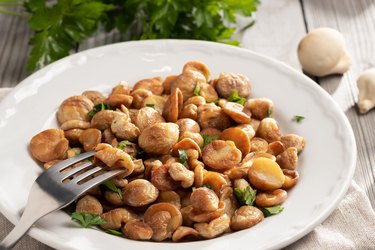 Fried puffball mushrooms on a white plate with a fork