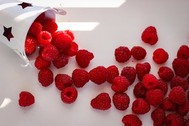 Red ripe and juicy raspberry in an inverted small white bucket and scattered around it