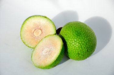 Breadfruit isolated in a white background