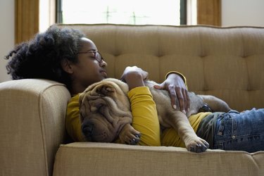 A young woman and her Shar-Pei napping on a couch