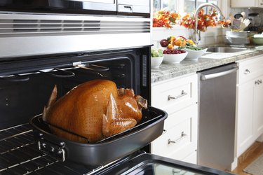 Cooked turkey in the oven in a kitchen