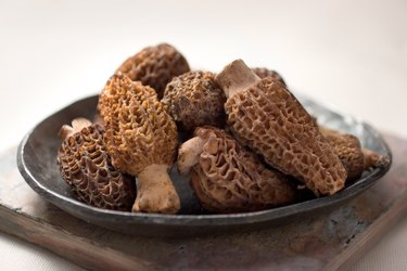 Iron-rich Morel mushrooms on a brown plate