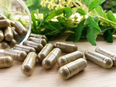 Holy basil herbal in capsule