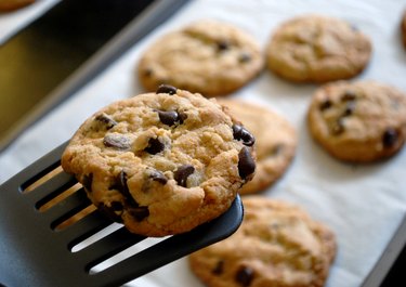 Close-up of a Freshly baked Chocolate Chip Cookie on a spatula made with healthy chocolate chips above blurred background of chocolate chip cookies on a baking sheet