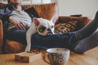 A man taking a power nap with his dog at home