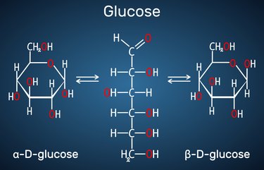 Model showing the different chemical structures of beta vs alpha glucose