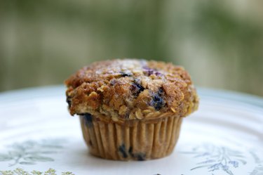 Whole-Wheat Blueberry Protein Muffins Protein Powder Recipes