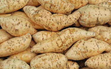 O'Henry sweet potatoes on grocery stand