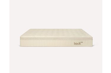 A tan Birch mattress on a white background