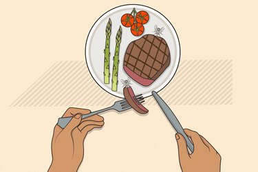 Eat It or Toss It - How to decide if food is safe to eat?