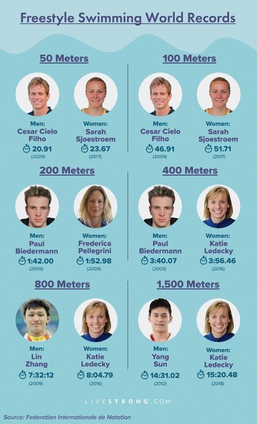 swimming world records statistics graphic showing freestyle swimming world records