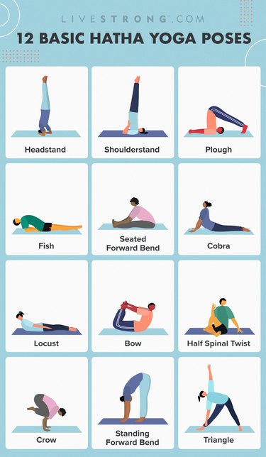 12 basic hatha yoga poses chart