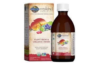 Garden of Life mykind Organics Organic Plant-Sourced Iron + Herbs