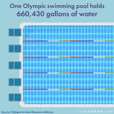 olympic swimming pool statistics graphic showing how much water is in an olympic swimming pool