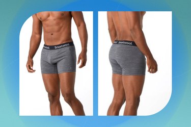 Smartwool Merino Sport 150 Brief - Men's - Men