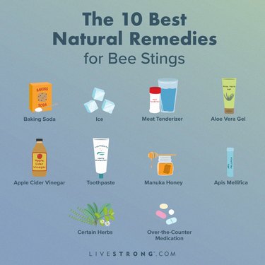 A graphic of the 10 best Natural Remedies for Bee Stings