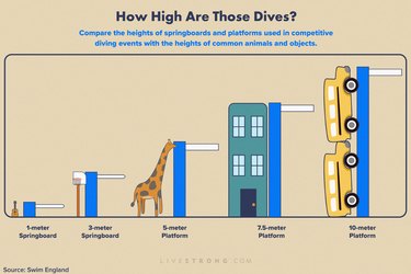 infographic showing chart of heights of various competitive diving platforms compared to everyday objects