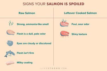 Signs Your Salmon is Spoiled graphic