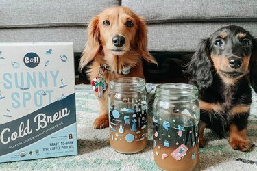 Grounds and Hounds Coffee Co. cold brew with 2 dogs