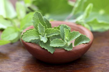 Stevia with other medicinal herbs