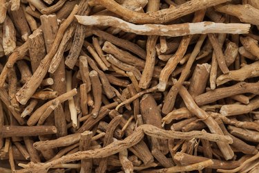 Background texture of Organic Ashwagandha (Withania somnifera) roots.