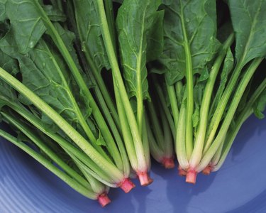 Closed Up Image of Spinach on a Blue Plate, High Angle View