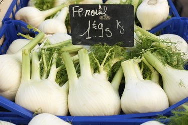 Fennel for sale