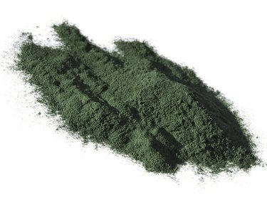 Spirulina powder