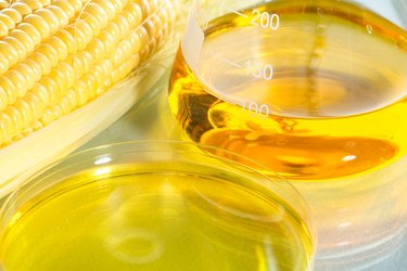 Biofuel or Corn Syrup sweetcorn