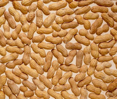 Whole shelled peanuts