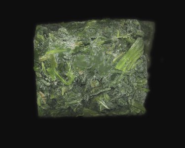 Frozen block of spinach
