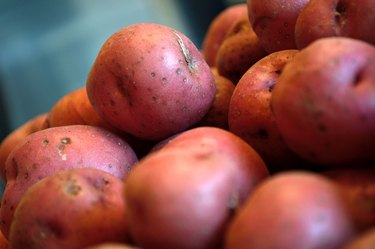 Pile of red new potatoes against blue gray background