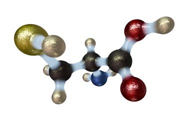 Amino Acid Cysteine