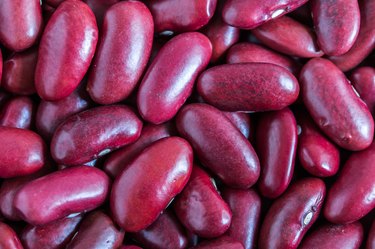 close-up red kidney bean