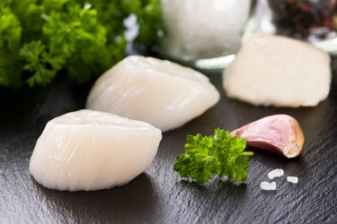 Scallop on black stone plate