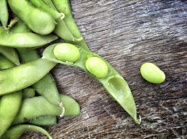 Fresh soybeans.