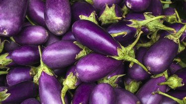 Eggplant purple