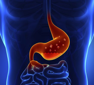 Gastric Acid