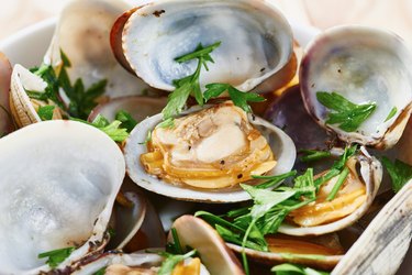 Clams steamed