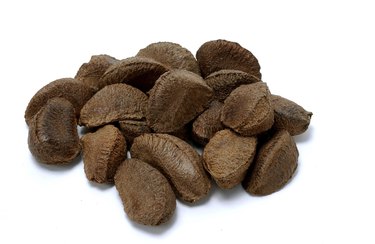 Brazil nuts